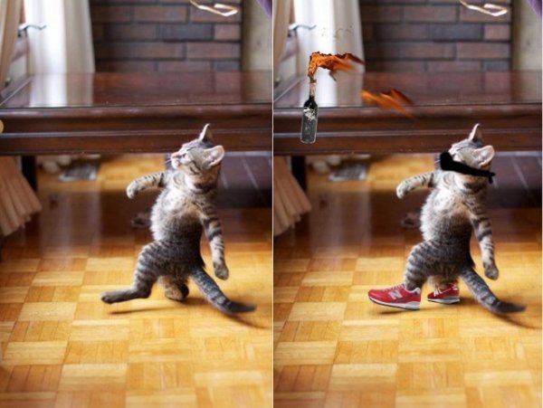 Леонардо ди Каприо идет