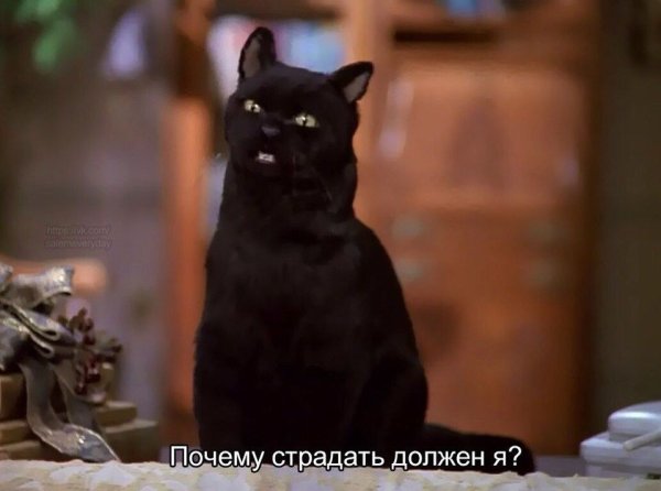 Сейлем Сабрина маленькая ведьма