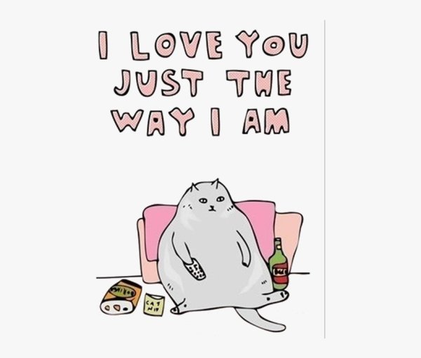 Жирный кот мемы