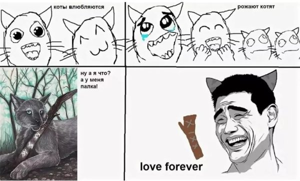 Мемы про котов воителей