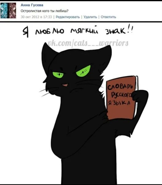 Коты Воители Остролистая