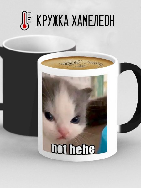 Котенок not hehe