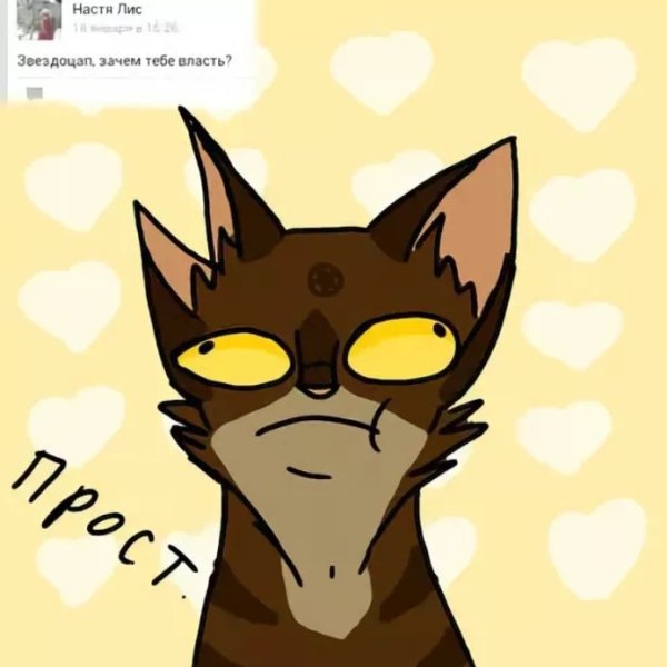 Коты Воители мемы