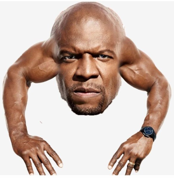 Терри Крюс мемы