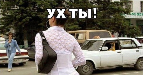 Собака за рулем Мем