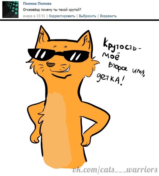 Коты Воители Огнезвёзд приколы