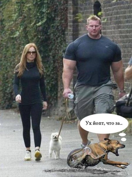 Пес качок и мелкий