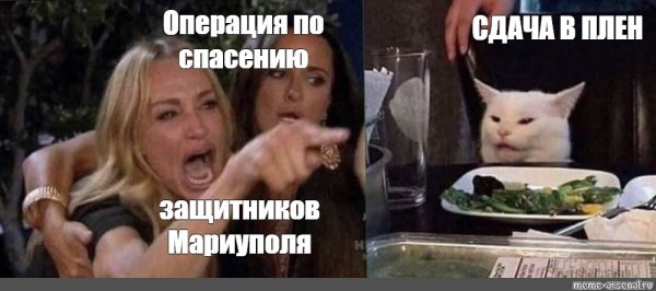 Мемы с женщиной и котом за столом