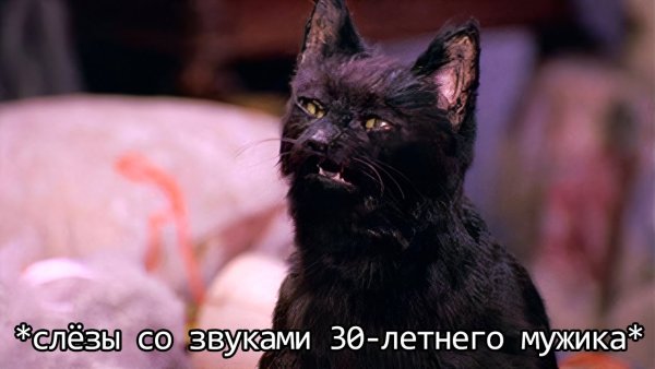 Сабрина маленькая ведьма Салем