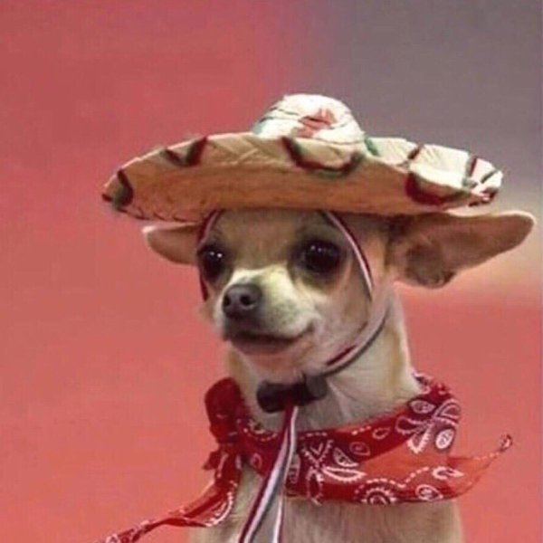 Буэнос Диас педрилас