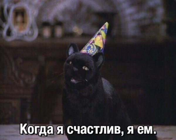 Сейлем кот Сабрина маленькая ведьма