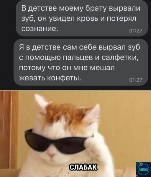 Воняешь слабостью кот