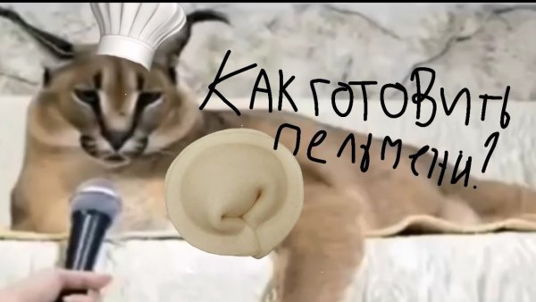 Шлёпа и пельмени