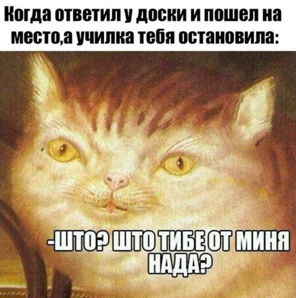 Картина с упрротыми котами