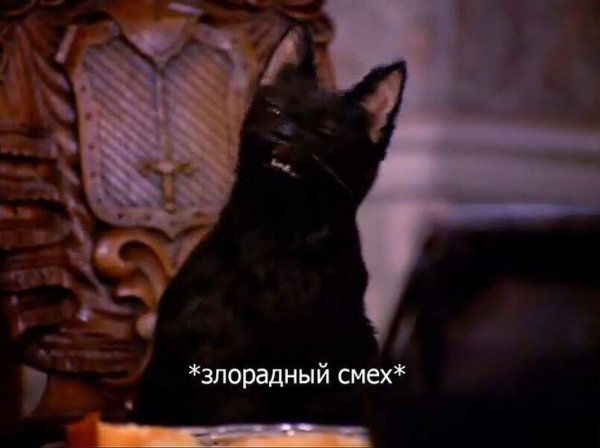 Кот Салем из Сабрины