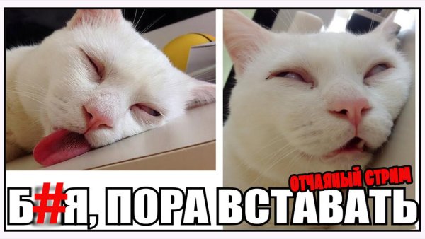 Пора просыпаться картинки