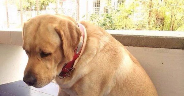 Тяжело быть отцом одиночкой