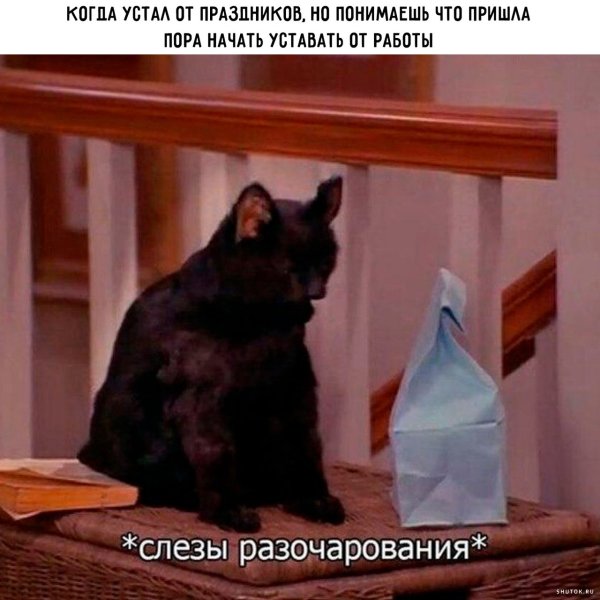 Сейлем кот Сабрина маленькая ведьма