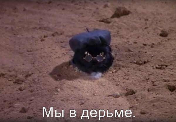 Салем Сабрина маленькая ведьма мемы