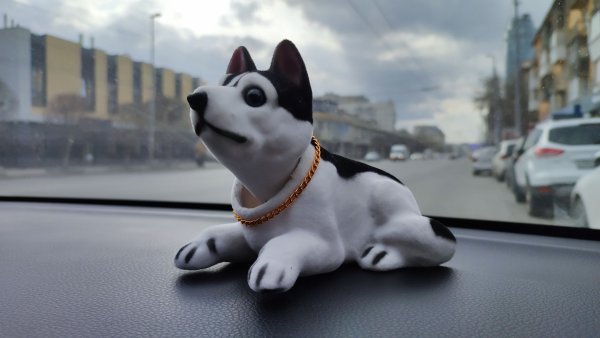 Кивающая собака в машину