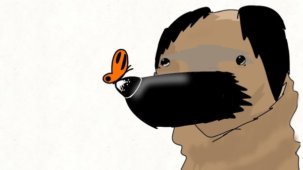 Пёсик с бабочкой на носу Мем обои