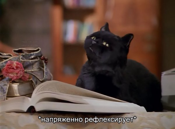 Сабрина маленькая ведьма Салем