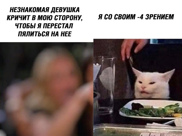 Коты мемы за столом