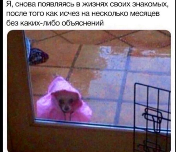 Это не слезы это просто дощь