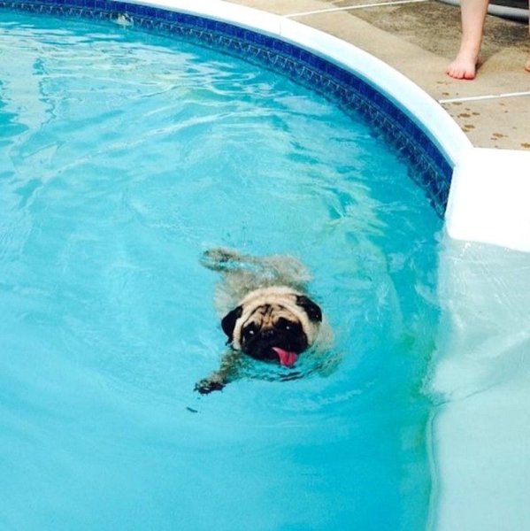 Прикольный бассейн