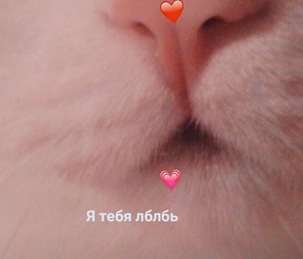 Воняешь слабостью