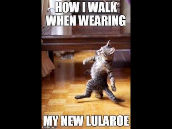 Шагающий кот