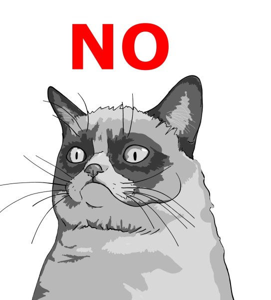 Кот говорит нет