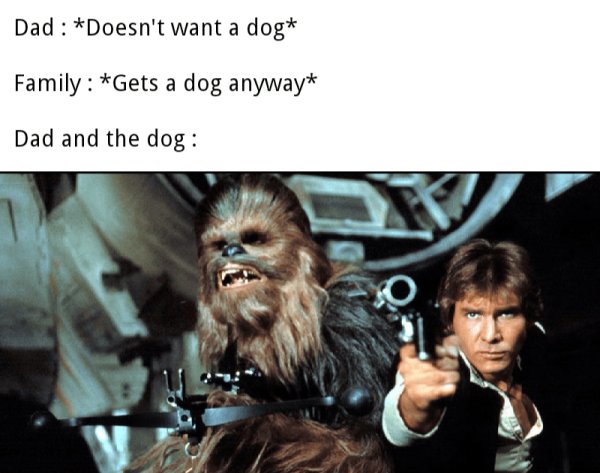 Семья заводит собаку Мем