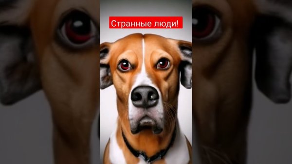 Упс ошибочка вышла картинки