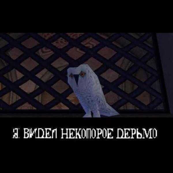 Я видел некоторое дерьмо Сова