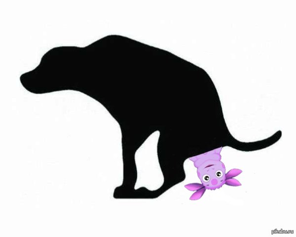 Силуэт какающей собаки