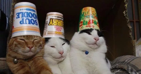 Мем хихи хаха хехе