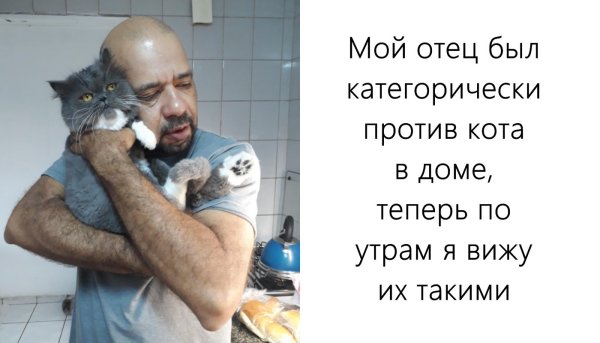 Батя и кот Мем