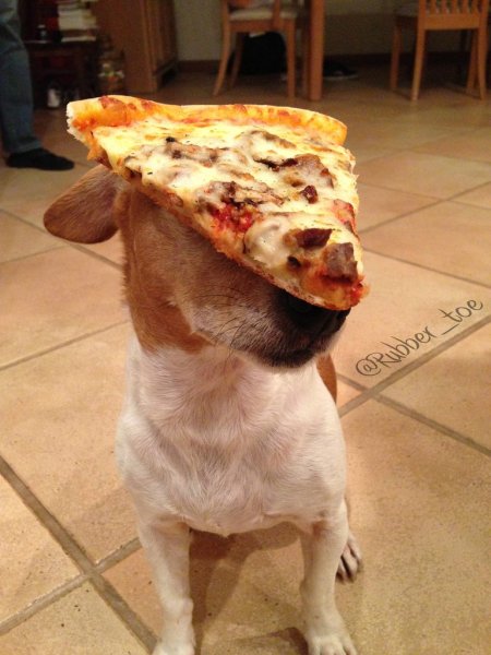 Смешная пицца