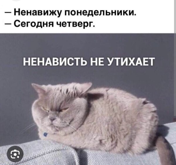 Ненавижу понедельник сегодня вторник ненависть не утихает