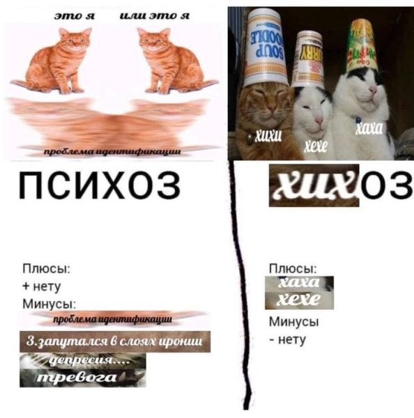 Хихоз Мем коты