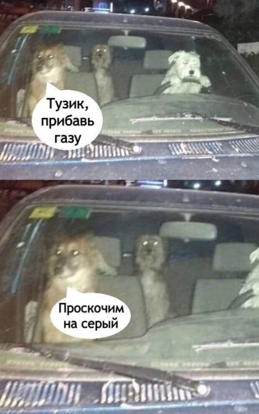 Гони на серый проскочим