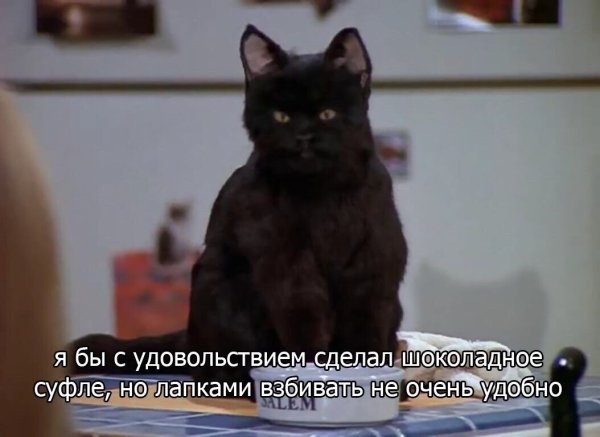 Сабрина маленькая ведьма Салем