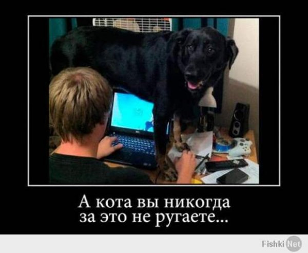 Тяжело быть отцом одиночкой собака Мем