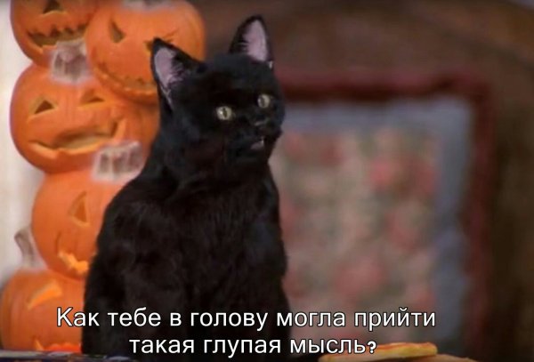 Сабрина маленькая ведьма кот Салем