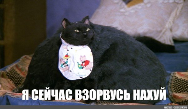 Толстый кот Салем из Сабрины