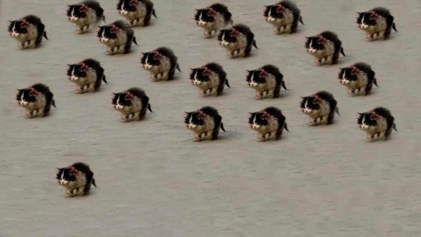 Z H,zpfntkmyj DS;BDE