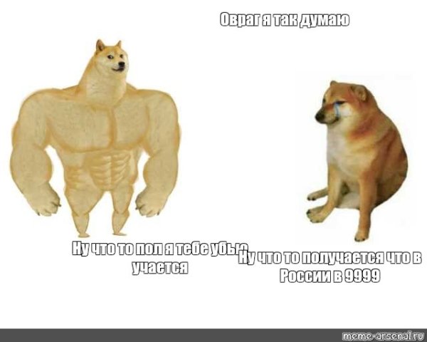 Накаченная собака Мем