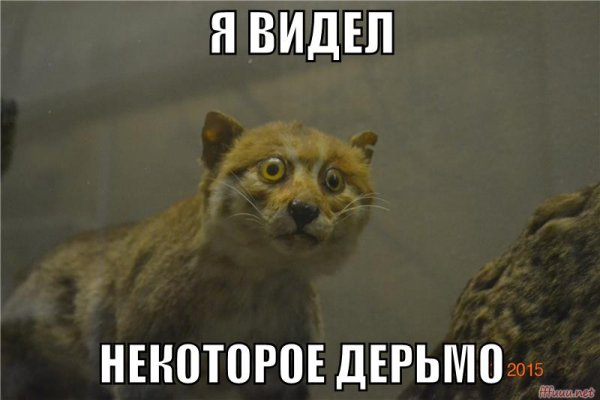 Я видел некоторое дерьмо