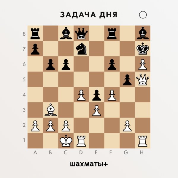 Королевский фланг в шахматах